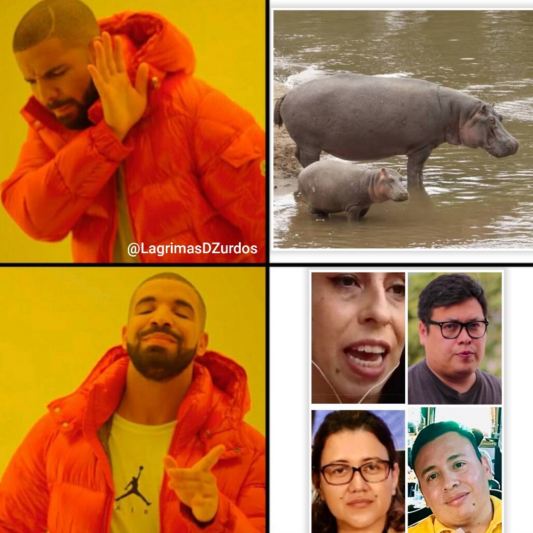 Lágrimas de Zurdos 🇨🇴 tweet media