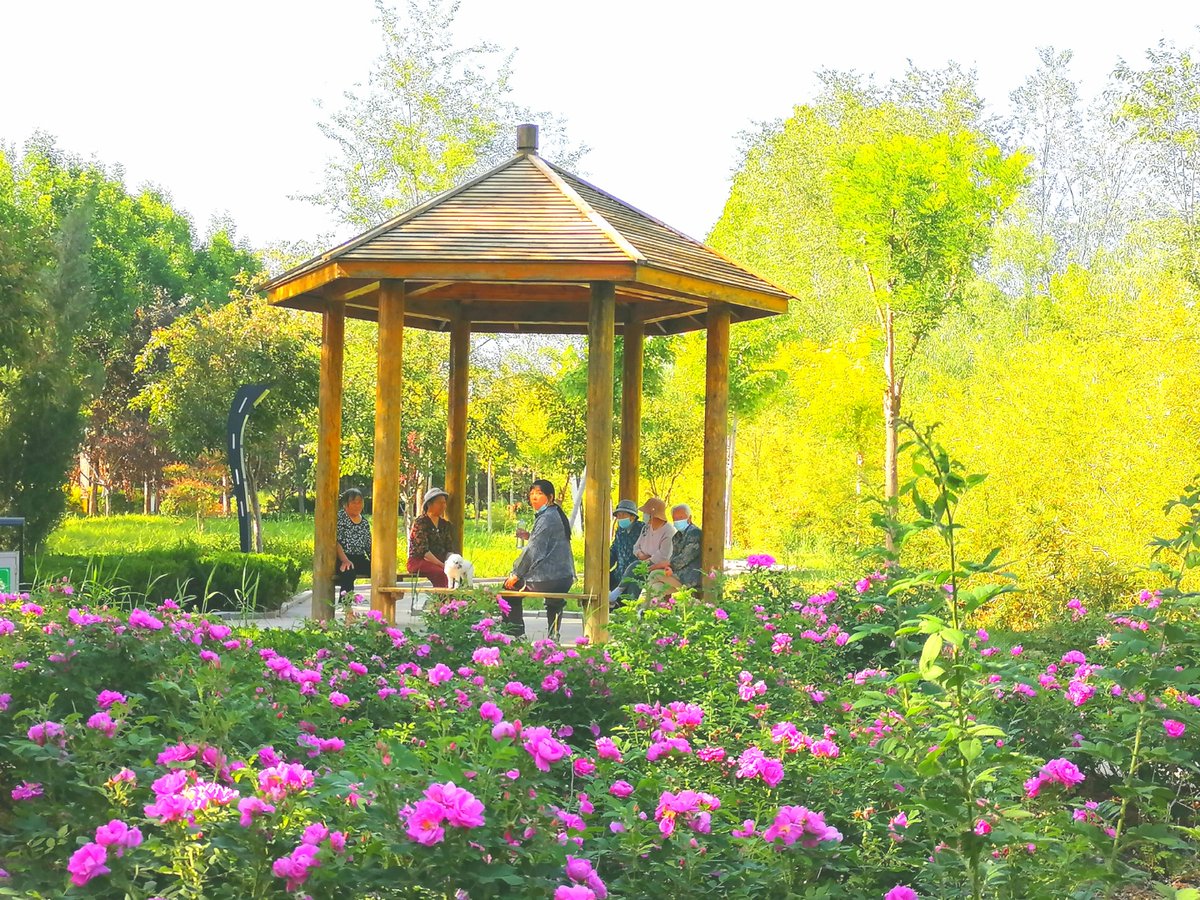 B_nina_banana's tweet photo. "Neighborly Mixer Alert!  Join us this Sat (10/14) 2-4 PM at Maple Park Gazebo—bring a homemade treat, meet your block, u0026 play lawn games! RSVP not needed—just show up for fun! #MapleHavenCommunity" https://t.co/Wplx1VUPMo