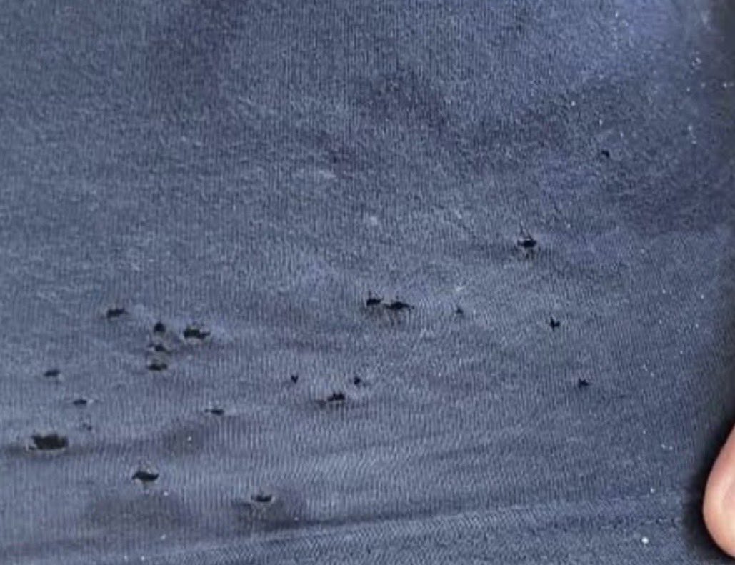 Maldita Summer tweet media