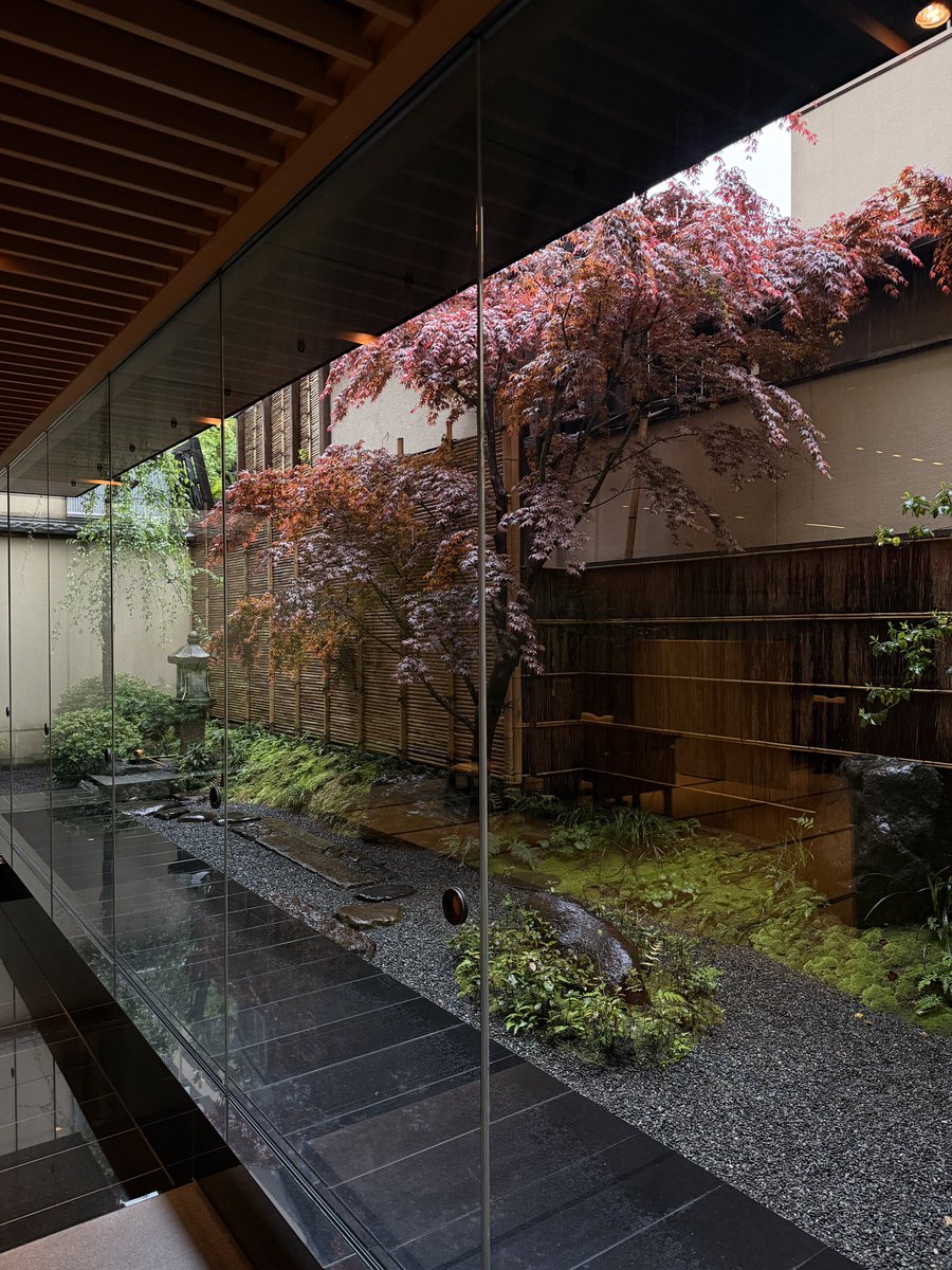 Dr.Hash“Wesley” tweet media