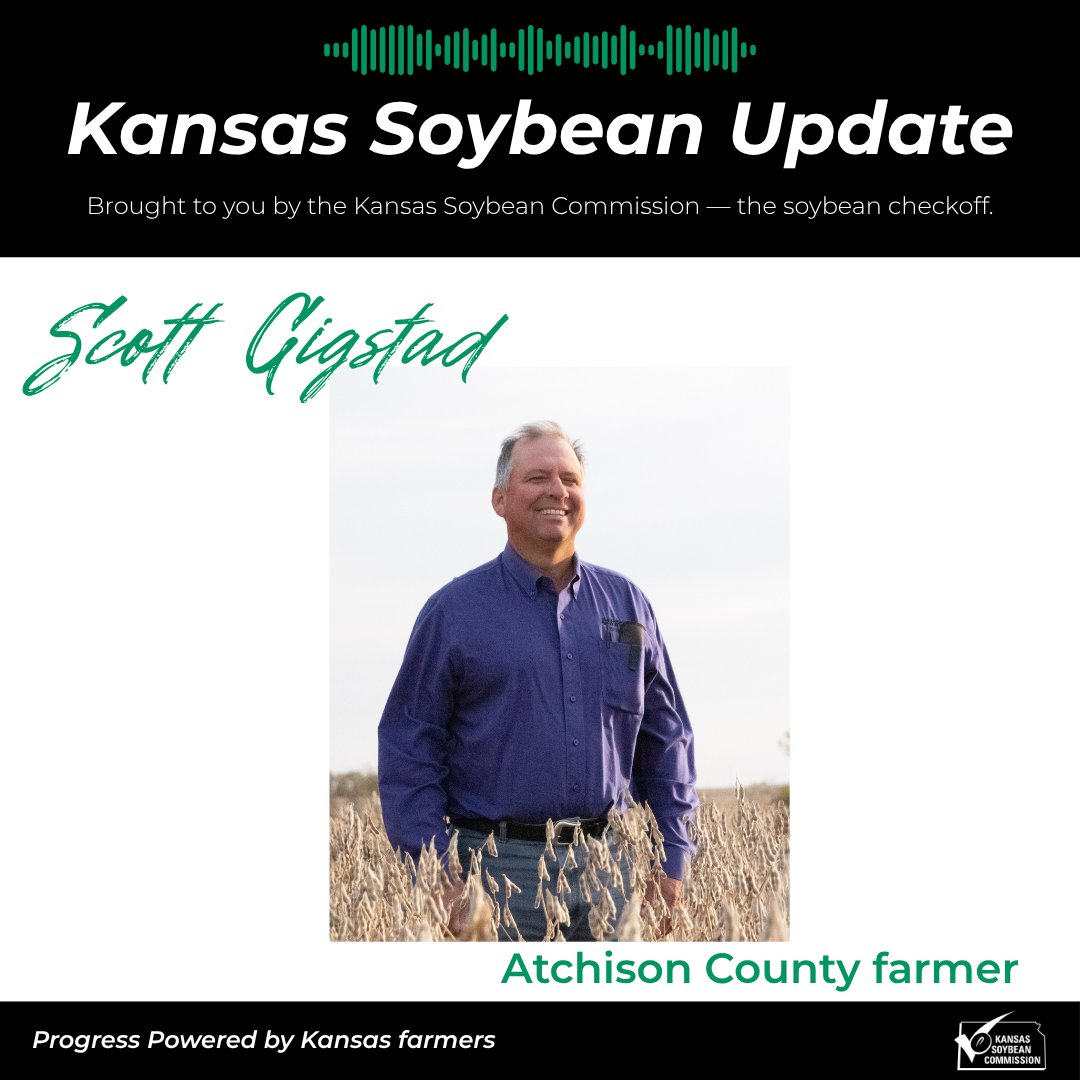 Kansas Soybean tweet media
