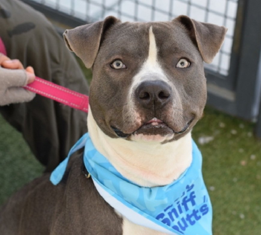 Cozy Paws🐾 tweet media