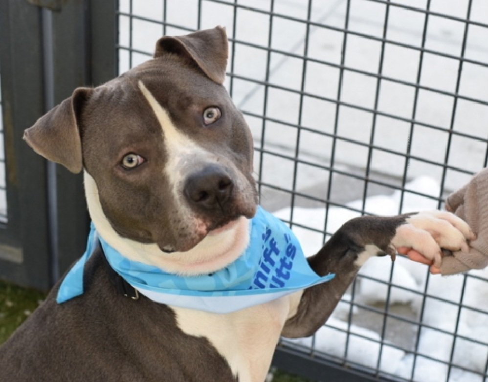 Cozy Paws🐾 tweet media