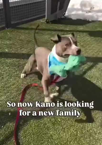 Cozy Paws🐾 tweet media