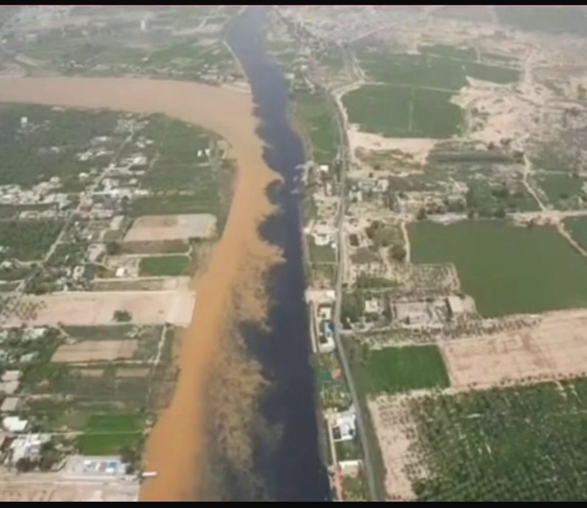 منيرة حماده tweet media