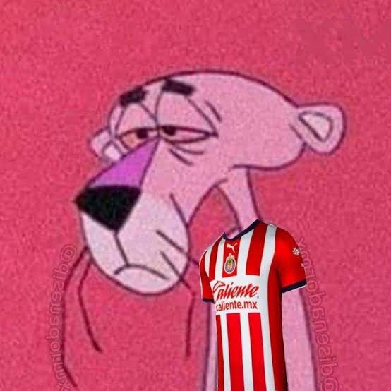 Fucho con Jul. tweet media