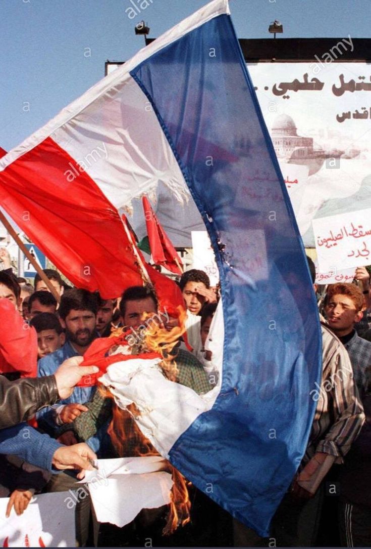 Yugoslavian Visuals tweet media