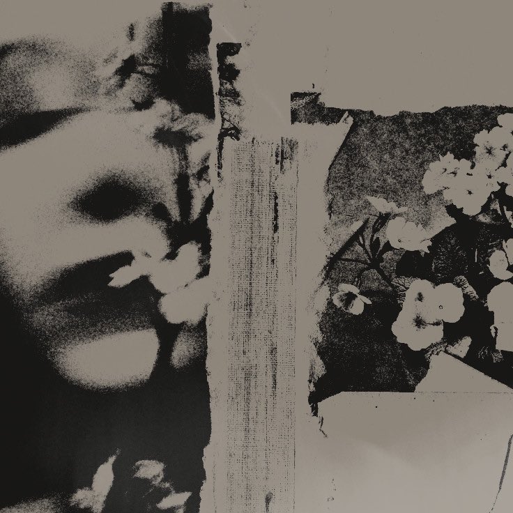 ㅤ

Kau adalah warna pada kelabu dunia, aku adalah monokrom di tengah pesona pancawarna. Satu bunga di palang kayu ditutupi lumut, lapuk oleh cuaca. Satu bunga di ujung bentala, kering termakan udara.

ㅤ