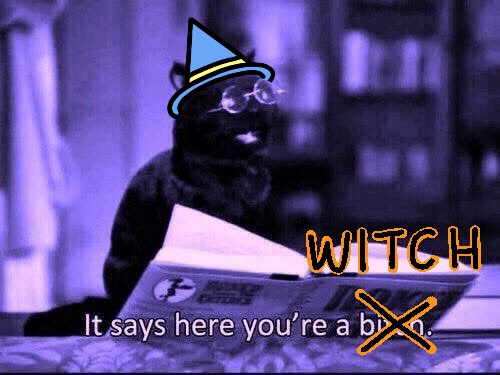 Theresa | Lieb | Taproot Witch tweet media