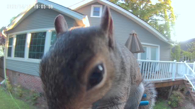 Danny Hays tweet media