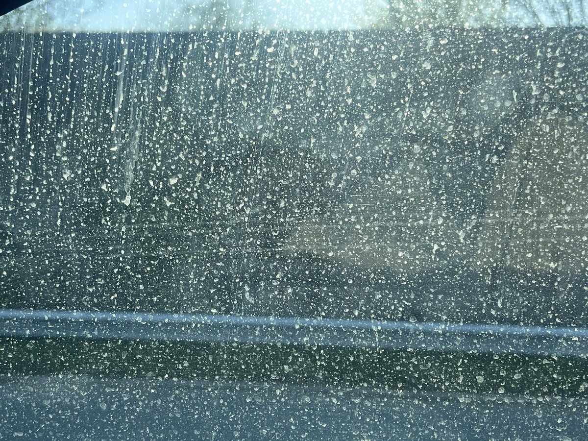 Vrijheid is Blijheid 🇳🇱 tweet media