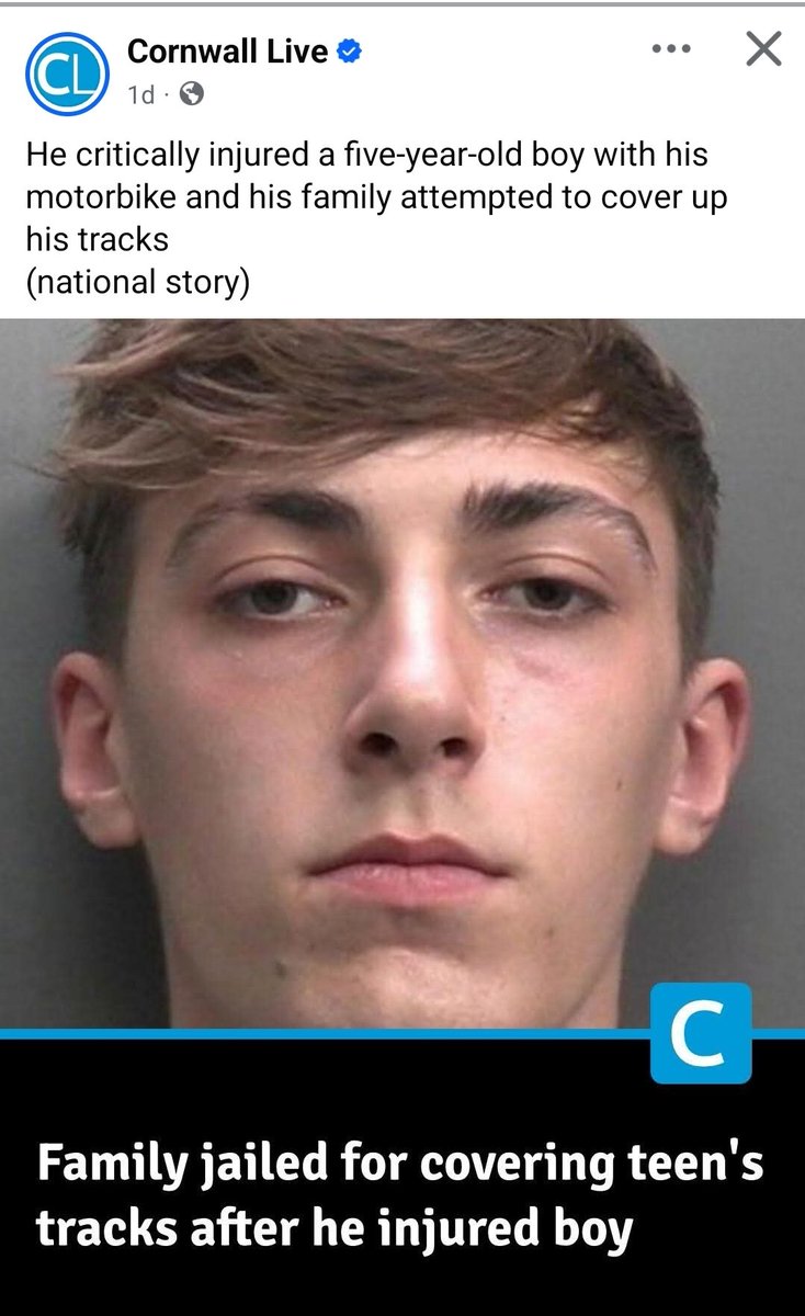 Queen Bee tweet media