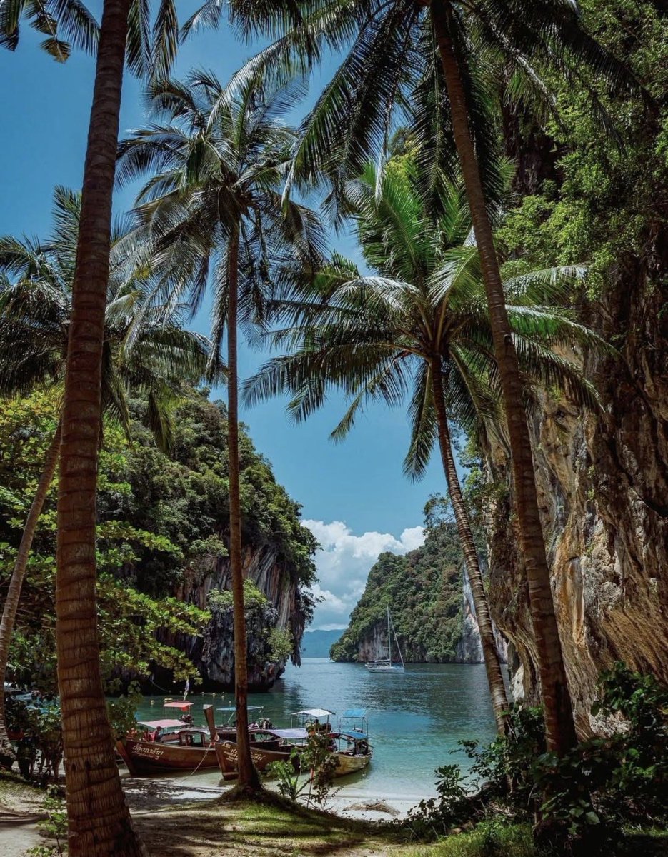 WORLD 2026 🌊 tweet media