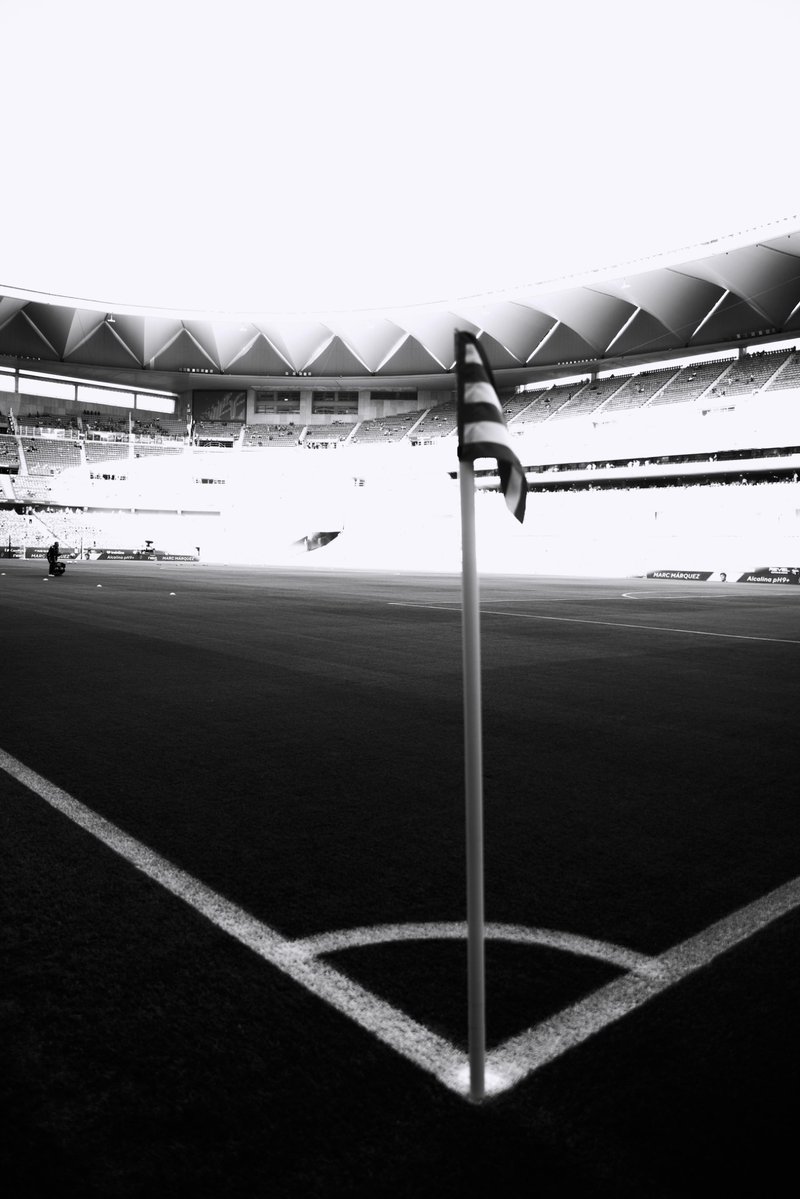 Real Betis Balompié 🌴💚 tweet media