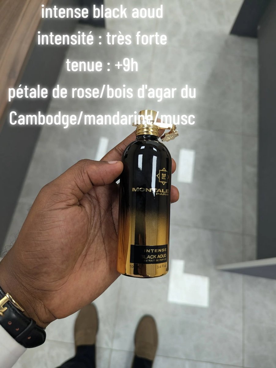 BELLMONTRE || Voyageur Olfactif tweet media