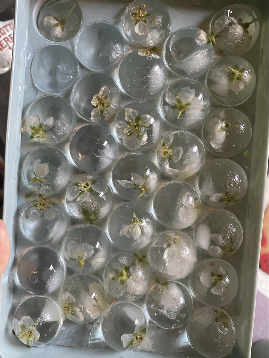 𝔹𝕣𝕠𝕠𝕜𝕝𝕪𝕟 tweet media