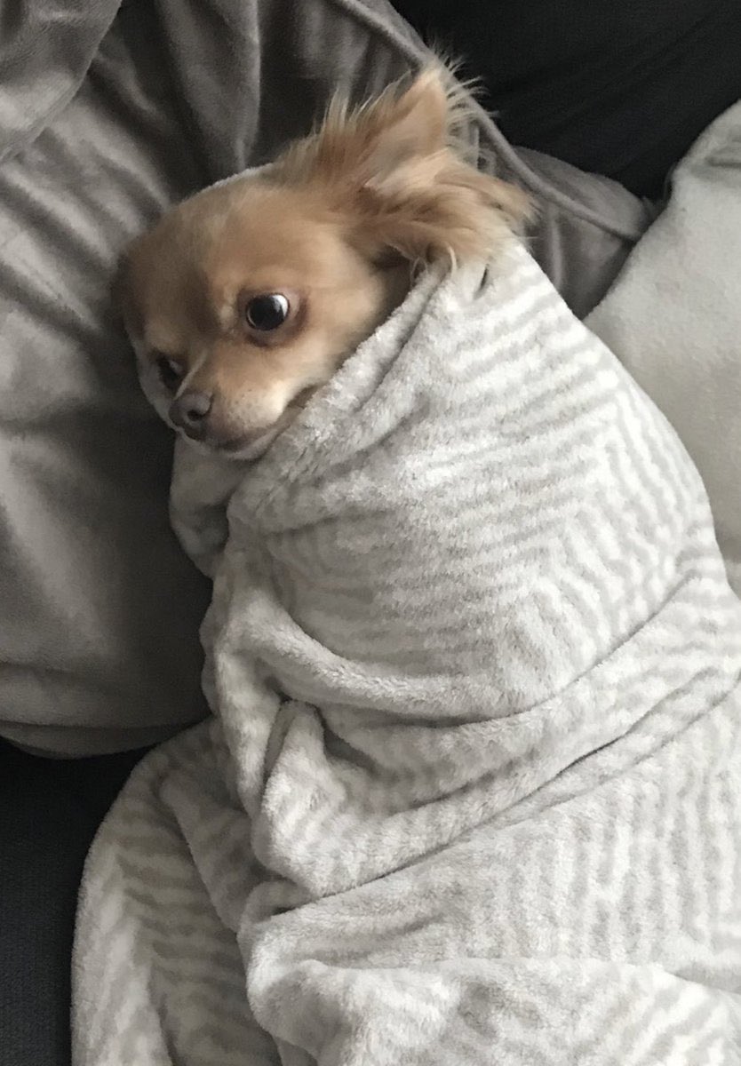 Nyagz 🌹 tweet media