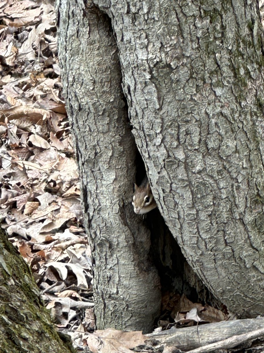 Hello friend