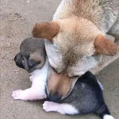 Delana k baker-gore tweet media