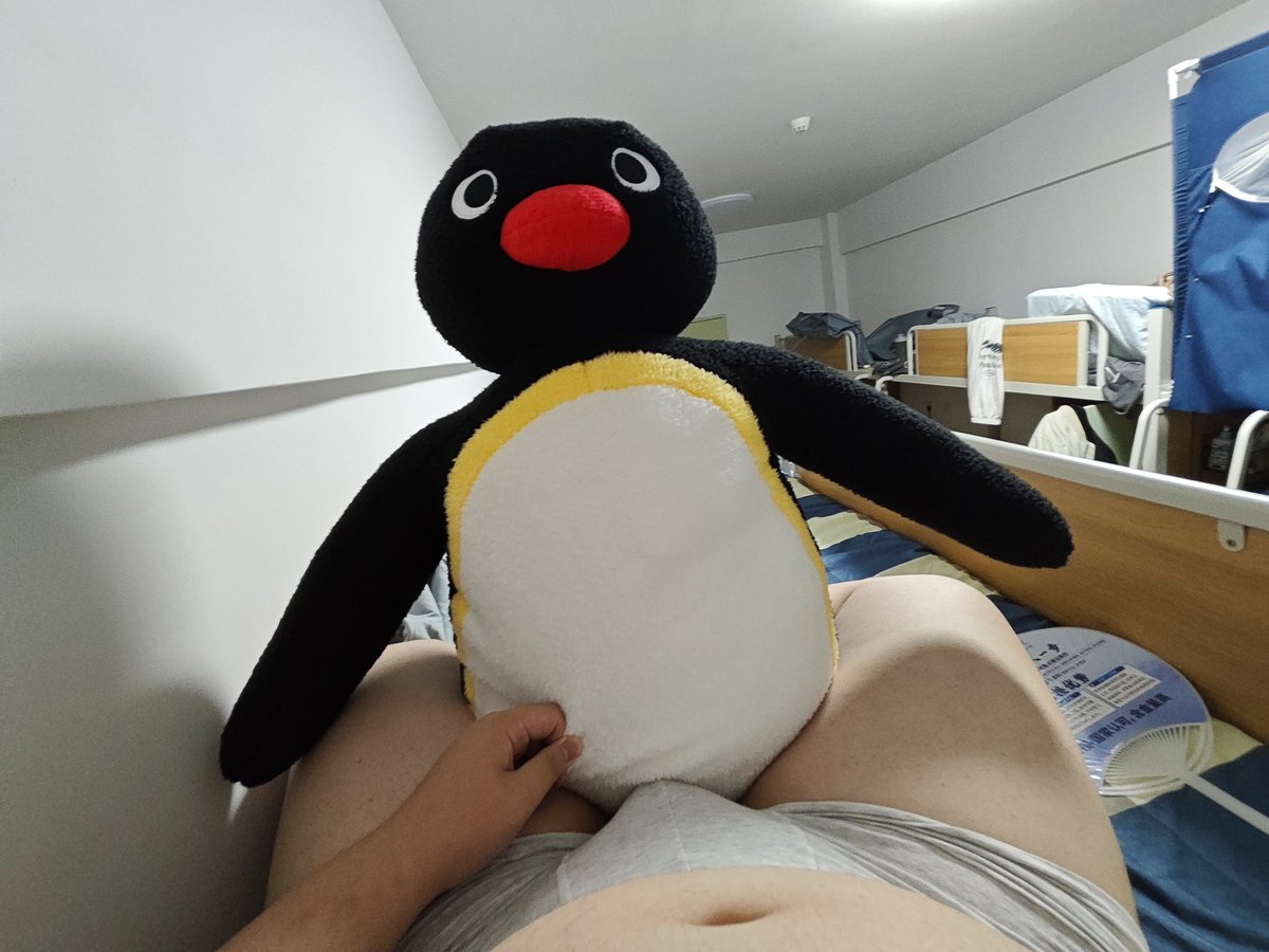 狸狸狸 tweet media