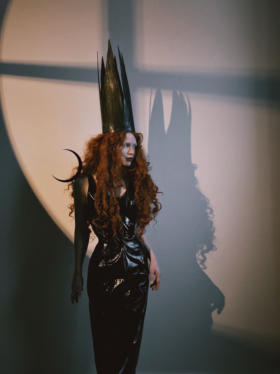 🇺🇦 Lesya Shevchenko tweet media