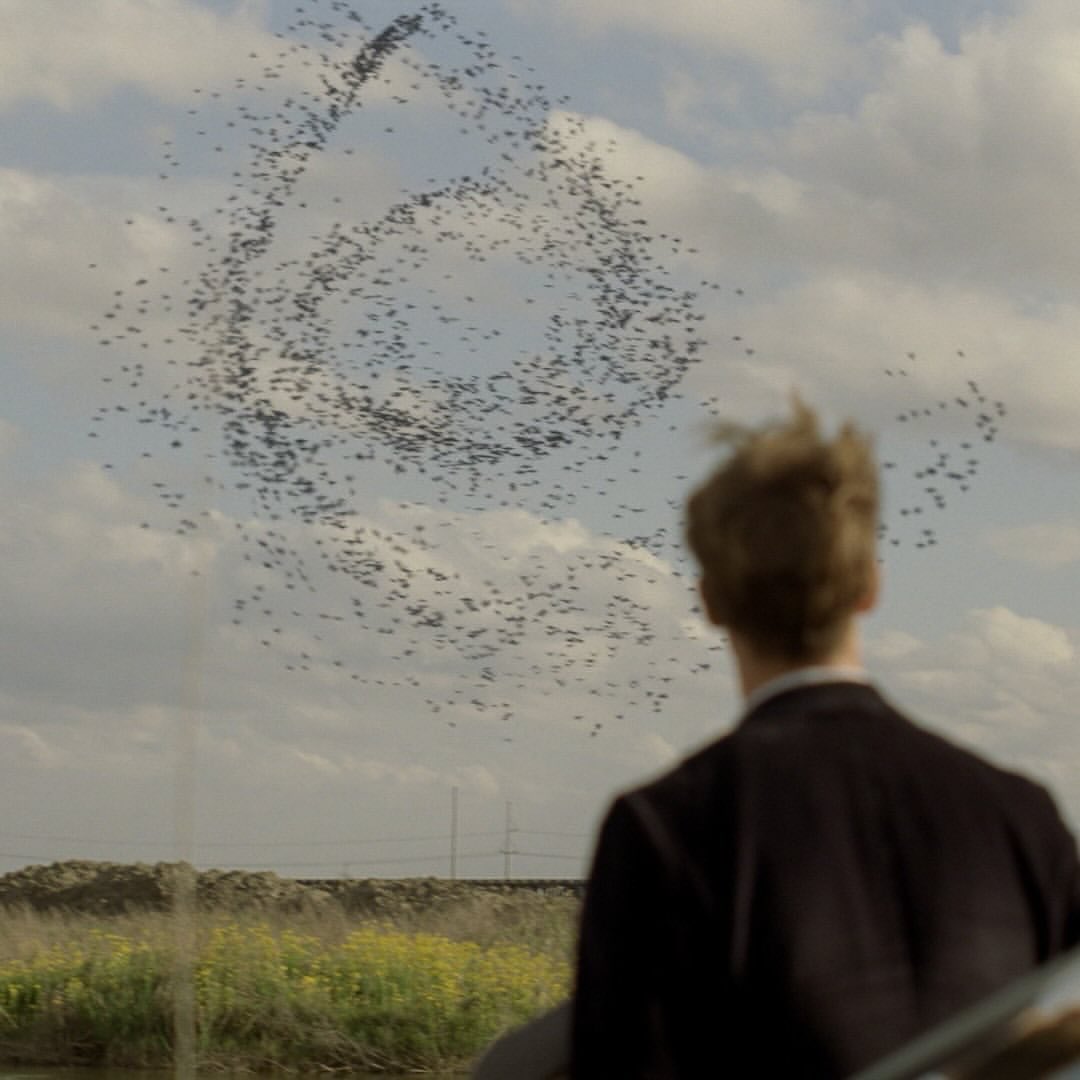 compositioning's tweet photo. True Detective - Season One (2014) https://t.co/W5Ayfqx37Y