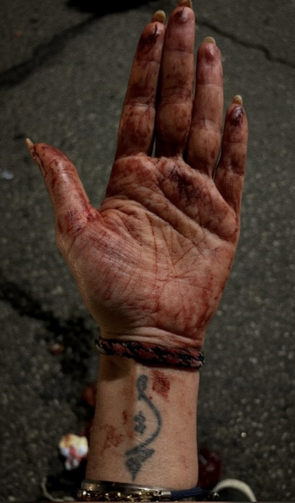 🍀Maryland tweet media