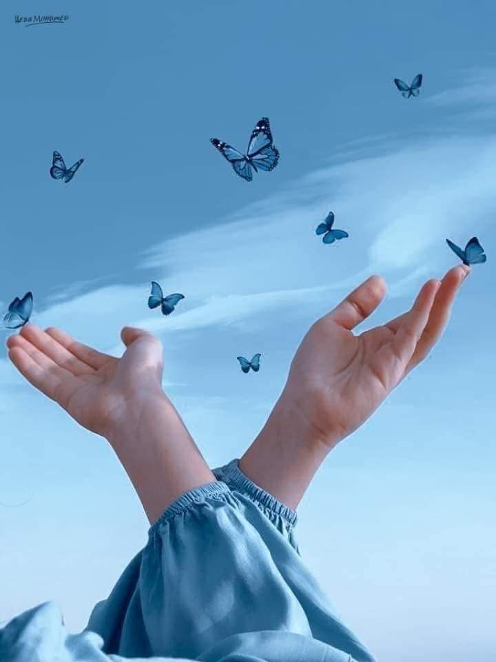 انثى راقيه tweet media