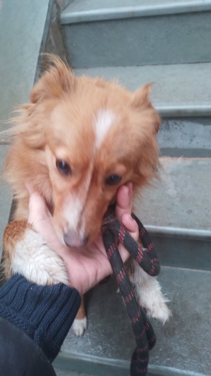 maria vellou tweet media