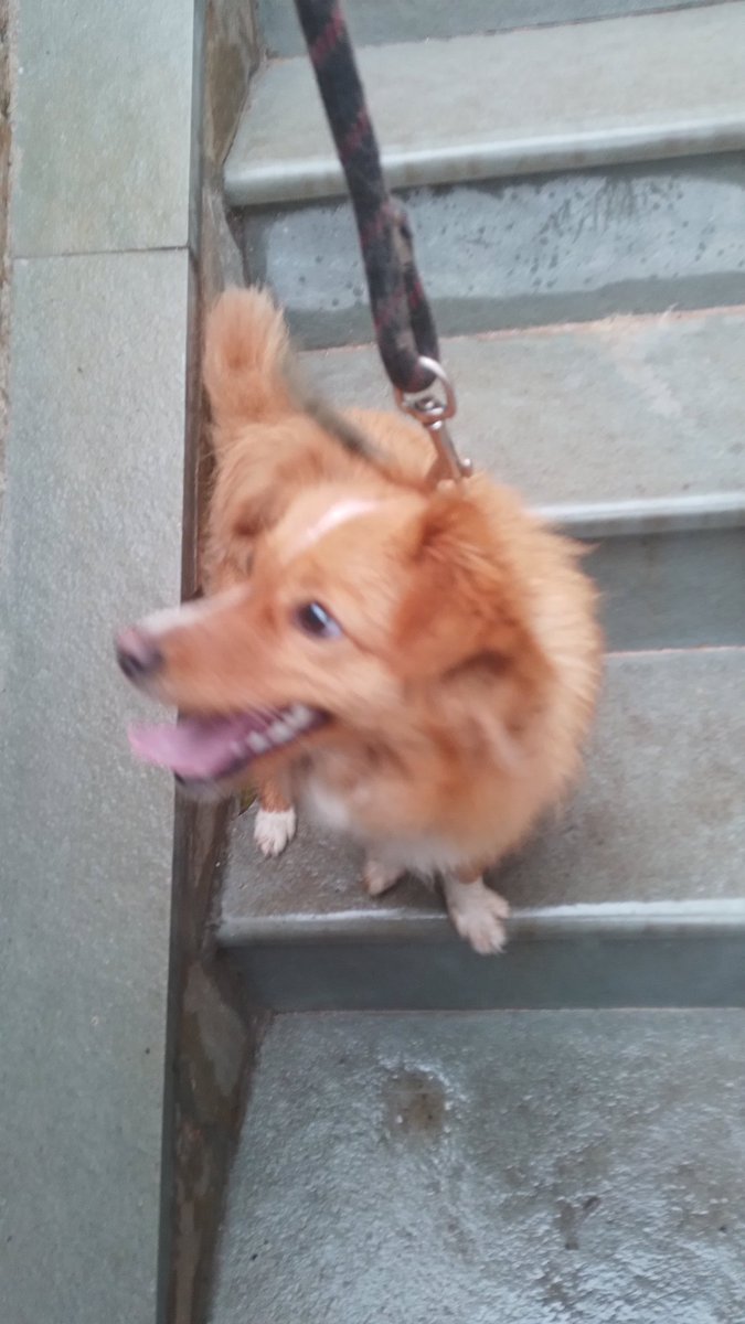 maria vellou tweet media