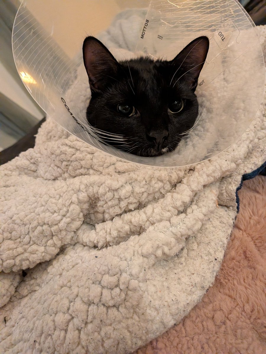 dia 🧼🪩 tweet media