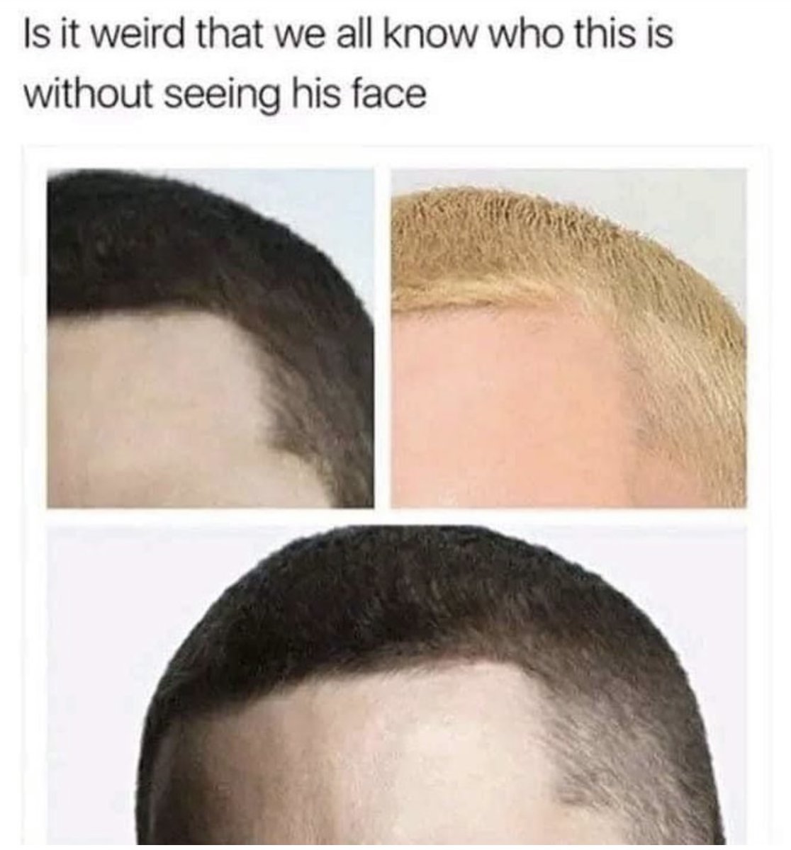 Spill The Memes tweet media