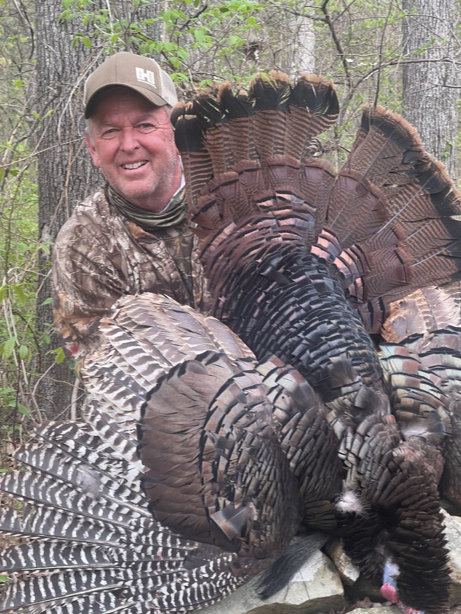 mikehanback tweet media