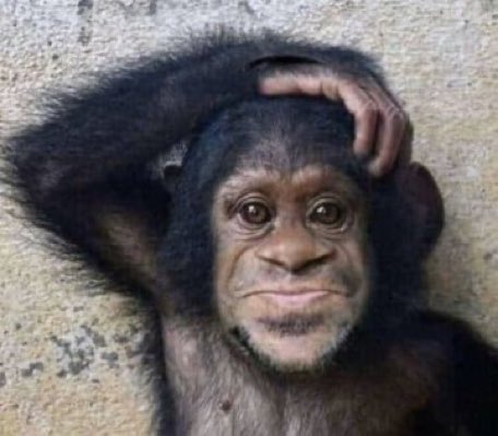 Sisye Anthony tweet media