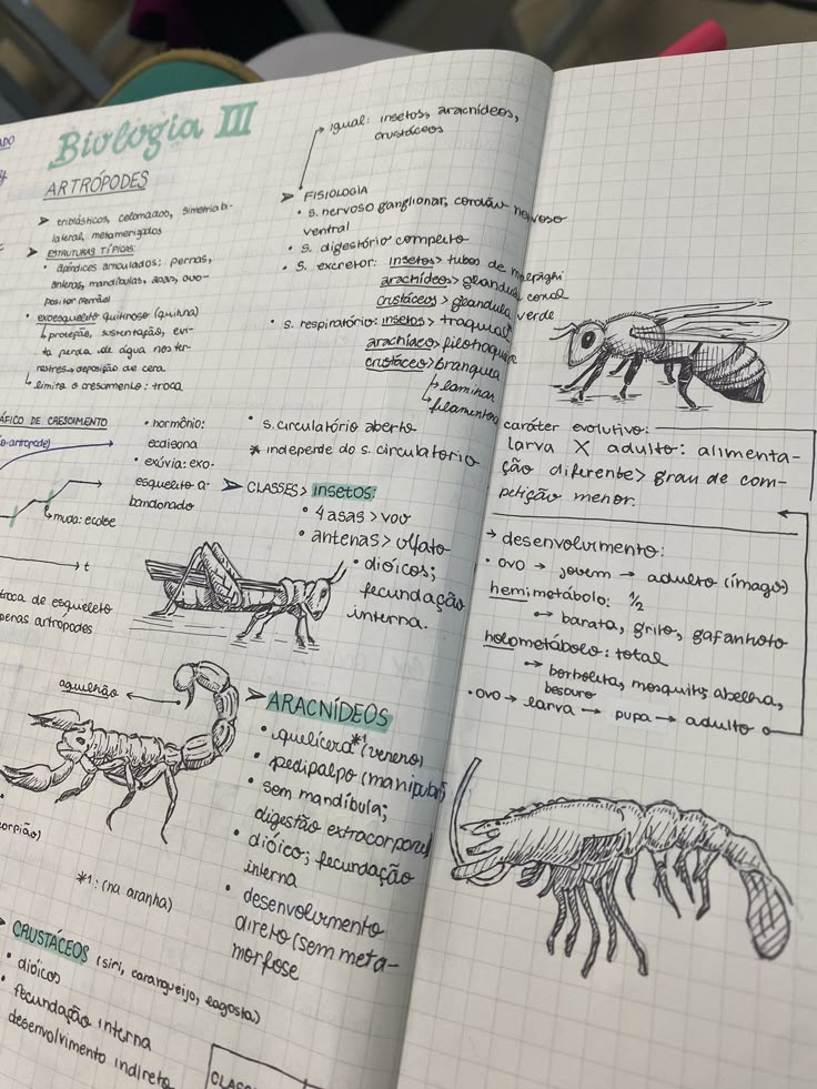 NAO AGUENTO MAIS ESTUDAR
