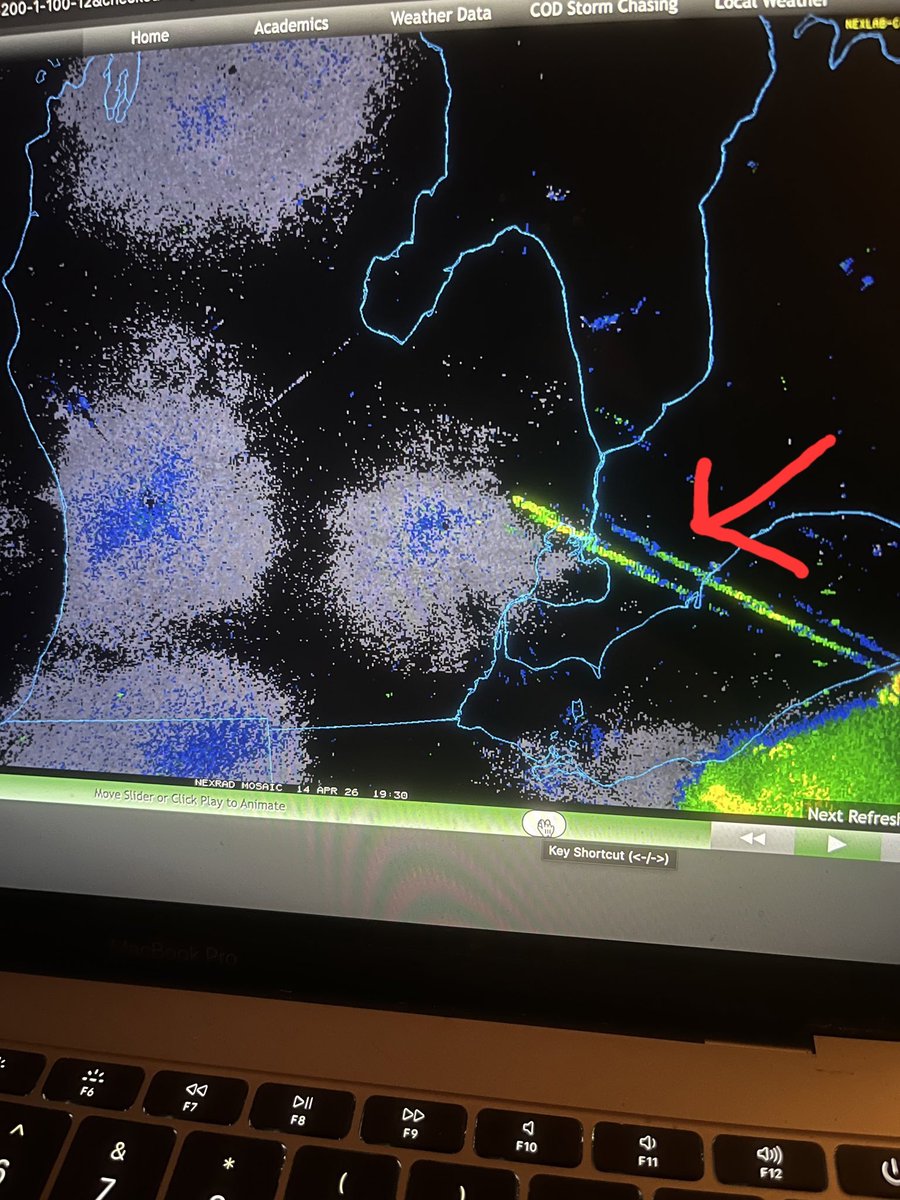 Jesse Lynn♥️ tweet media