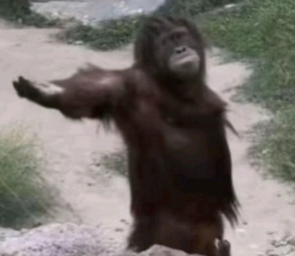 Ñîçê tweet media