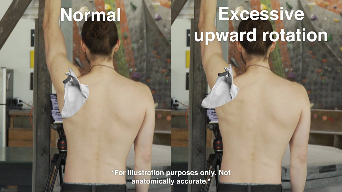 Medical Education tweet media