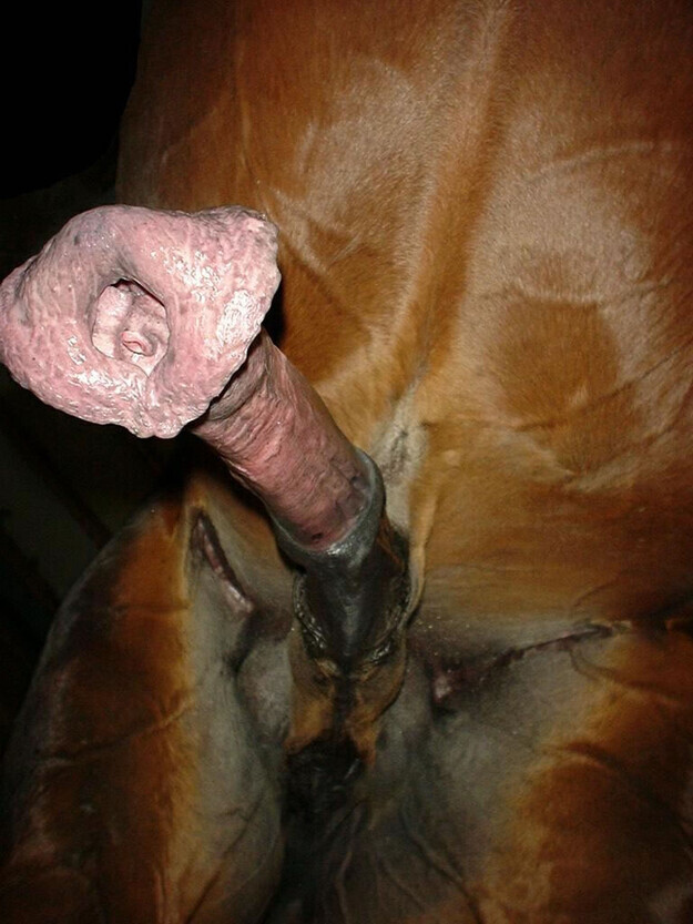 Pups Knott 😜♂️ tweet media