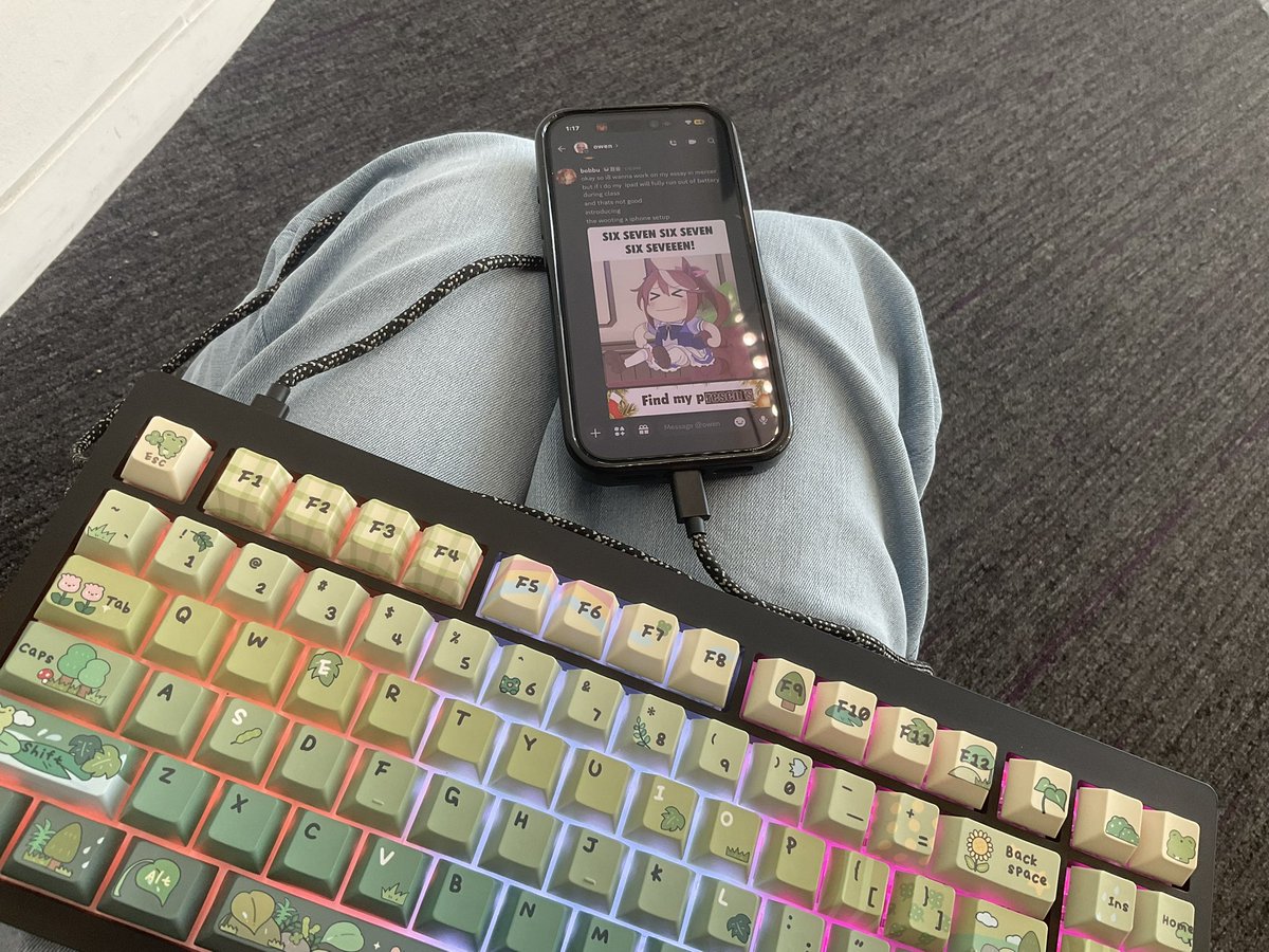 bobbu/alfie 🦋 tweet media