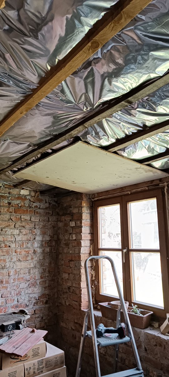 lientje69 🇪🇺🇺🇦🏳️‍🌈🐐🐑🐈🦉🐕🦂🐝🌍❤️ tweet media