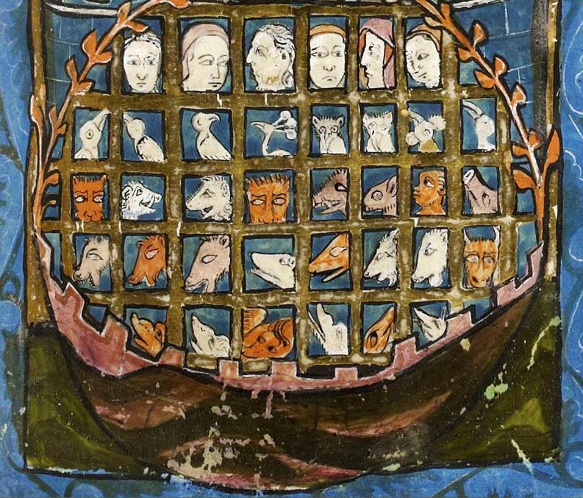 Plantagenet tweet media