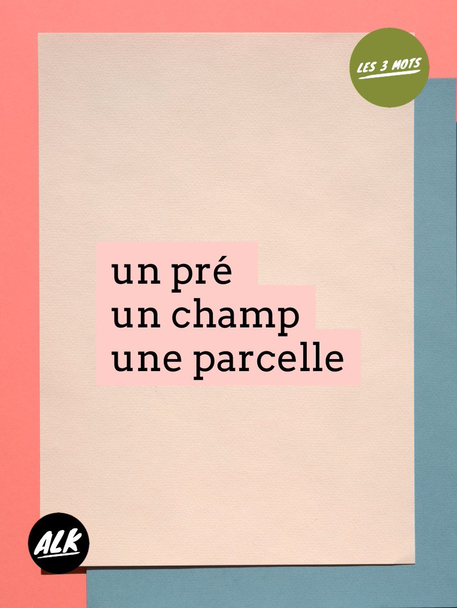 alk_info's tweet image. Les 3 mots 

Voici trois mots à utiliser pour construire une phrase. Vous avez carte blanche.

Here are three words you have to use to build a sentence. You have carte blanche.

#learnFrenchwithArnaud #create #practice