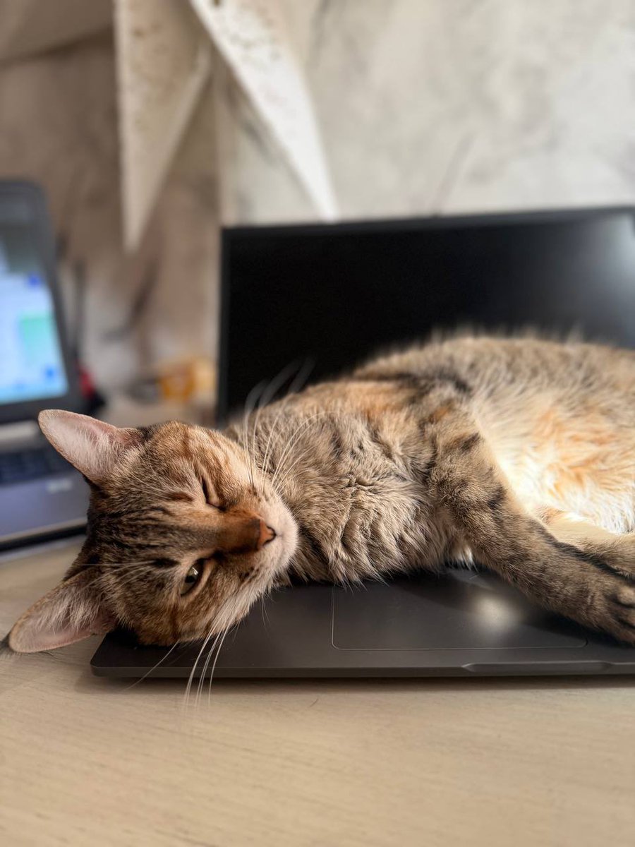 frissonmnia.base.eth tweet media