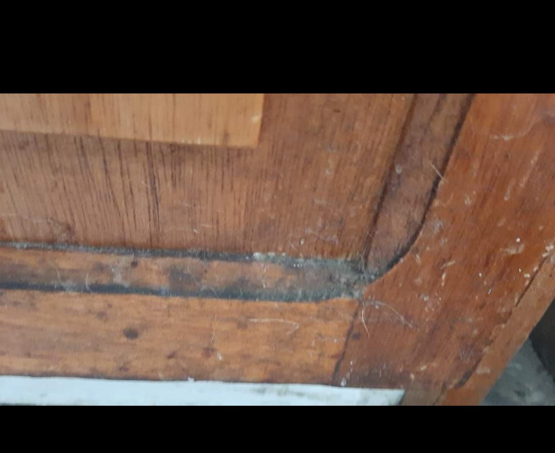 <a href="/Anaisabelitaf/">AnaIsa</a> <a href="/Mariafe999/">Maraia</a> <a href="/Pablo70292845/">Pablo</a> <a href="/alejandrocacace/">Alejandro Cacace</a> <a href="/agustinpcoto/">Agustín Coto</a> <a href="/JMilei/">Javier Milei</a> Mira como nos dejan las casas..