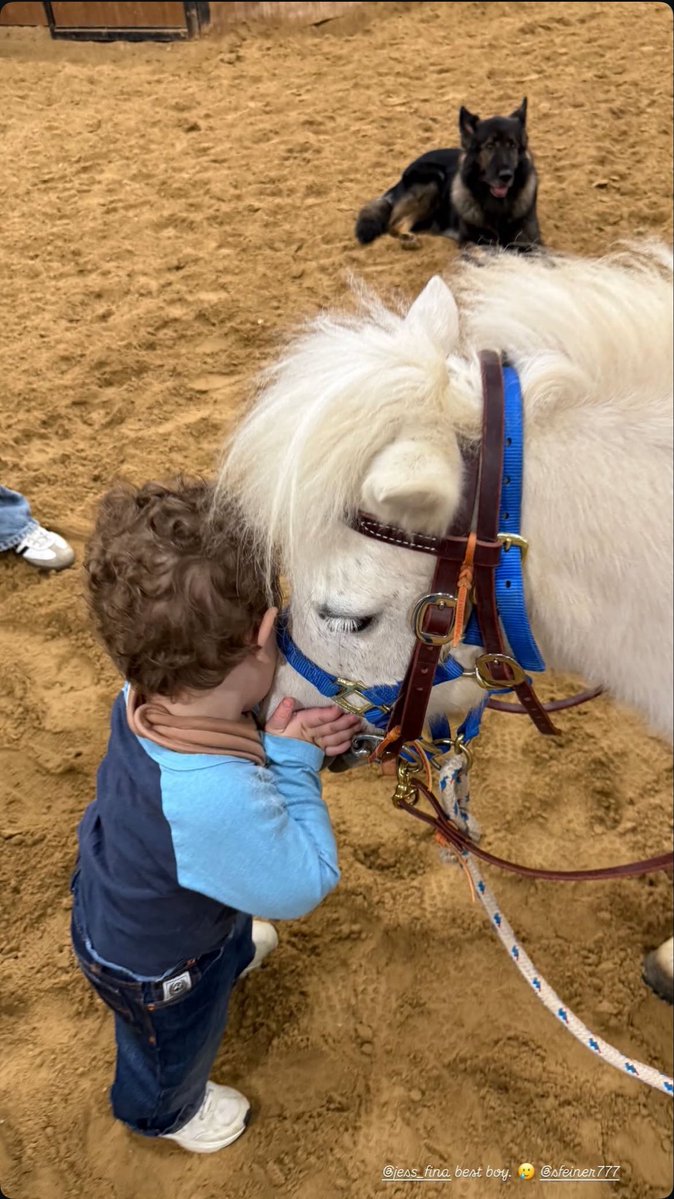 Portal Bella Hadid BR tweet media