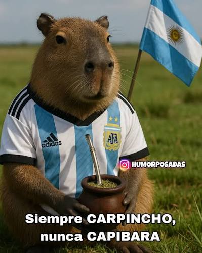 paniero's tweet photo. @pasaroncosas899 @aleberco #MiercolesDeGrieta
¿Cómo te vas a comer al héroe de Nordelta?
@gabyvulcano1 @alejwall @PradoNahuel https://t.co/My5iJ3eIox