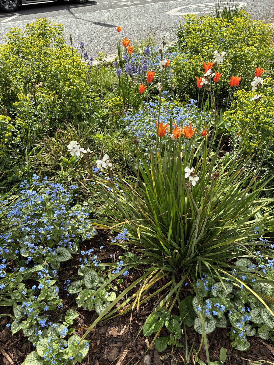 Liam Purcell tweet media