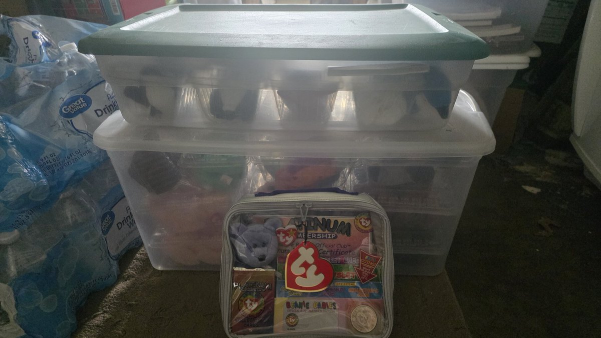 OMGBEES 🐝💢 tweet media