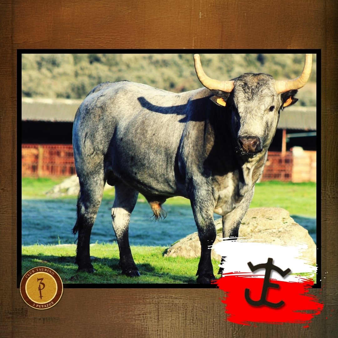 3Puyazos tweet media